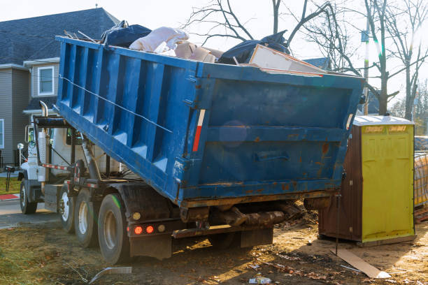 Shed Removal